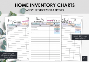 LiveMinimalPlanners Home Inventory Charts