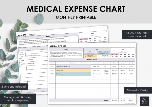 LiveMinimalPlanners Minimalist Medical Expenses-1