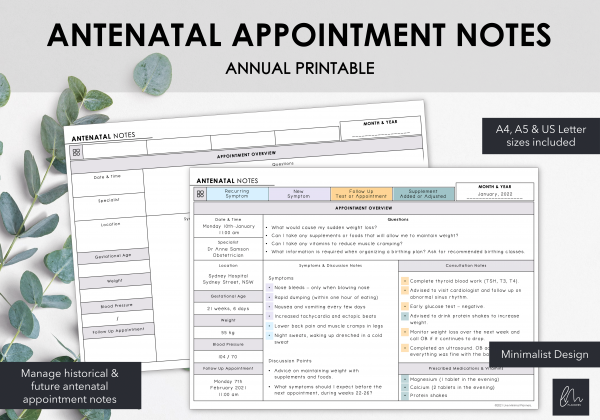 LiveMinimalPlanners Minimalist Antenatal Appointment Notes